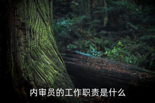 督察內(nèi)審是什么工作，內(nèi)審監(jiān)察主要工作職能