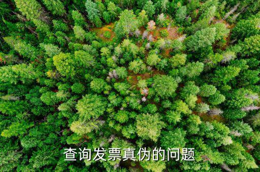 查發(fā)票真假為什么，查詢發(fā)票真?zhèn)蔚膯?wèn)題