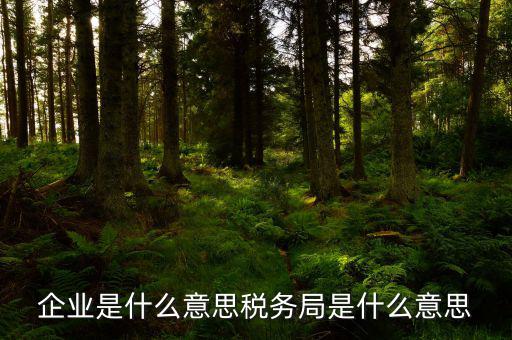 稅務(wù)局官網(wǎng)什么意思，稅官是什么意思