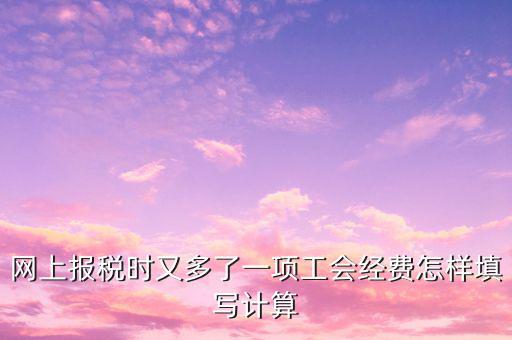 網(wǎng)上報(bào)稅時(shí)又多了一項(xiàng)工會(huì)經(jīng)費(fèi)怎樣填寫(xiě)計(jì)算