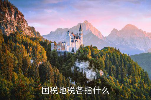國稅代征地稅什么意思，國稅地稅各指什么