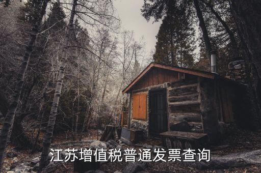 江蘇國稅網(wǎng)站運(yùn)行的環(huán)境是什么，江蘇國稅徐州網(wǎng)站怎么上不去