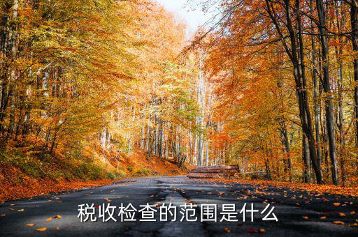 在地稅局需要檢查什么地方，稅務(wù)年檢是什么地方的來(lái)檢查
