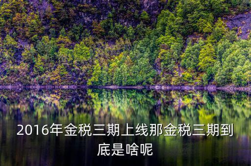 金三稅是指什么，金稅三期是什么意思
