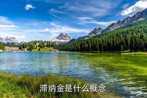 稅務(wù)局的滯納金是什么意思，稅收滯納金還有什么什么滯納金是什么意思