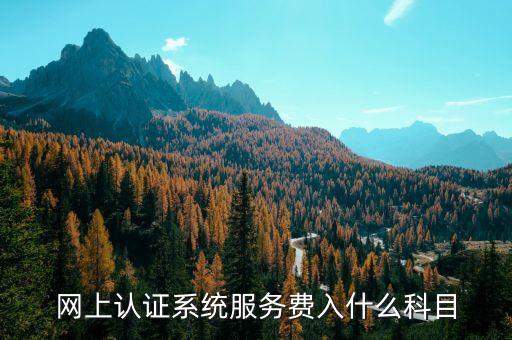 網(wǎng)上認證服務費是什么，網(wǎng)上認證系統(tǒng)服務費入什么科目