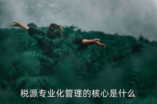 稅源專(zhuān)業(yè)化管理的核心是什么