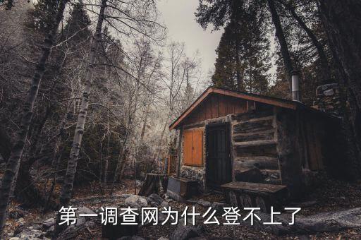 稅收調(diào)查為什么登陸不進(jìn)去，為什么北京地稅局納稅申報(bào)登陸不了