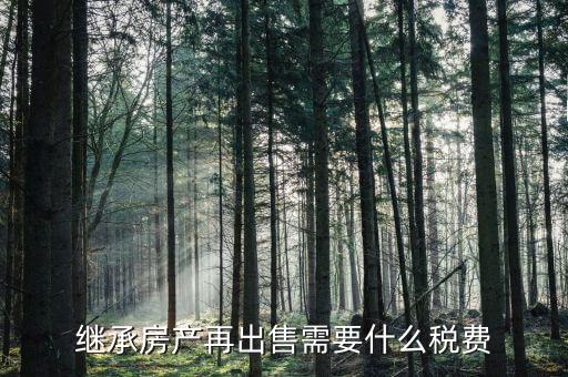 繼承房屋出售有什么稅，繼承房產(chǎn)再出售需要什么稅費(fèi)