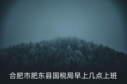 安徽國(guó)稅什么時(shí)候上班時(shí)間，國(guó)稅局的上班時(shí)間