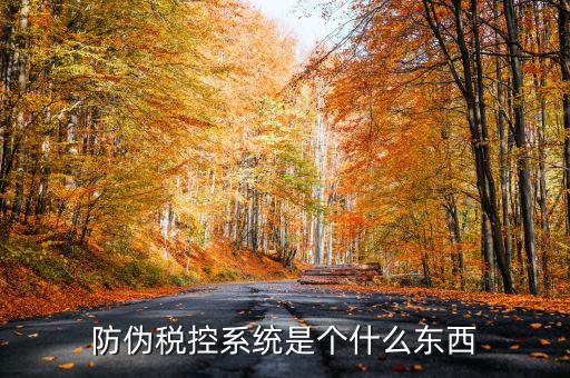 防偽稅控一體化什么時(shí)候，營改增后漢字防偽企業(yè)抄報(bào)稅時(shí)需要使用什么設(shè)備
