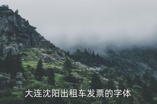 大連停車場(chǎng)發(fā)票什么樣，大連增值稅普通發(fā)票真?zhèn)卧趺床樵?/></a></span><span id=