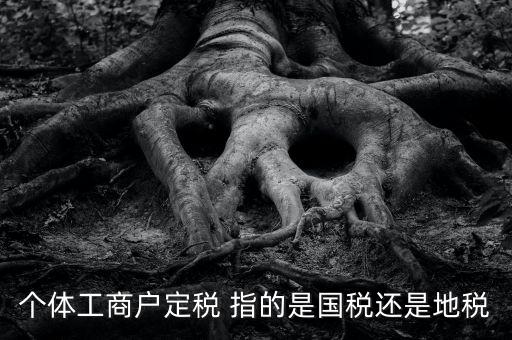 個(gè)體戶定稅是什么意思，疑難國稅個(gè)體戶定稅