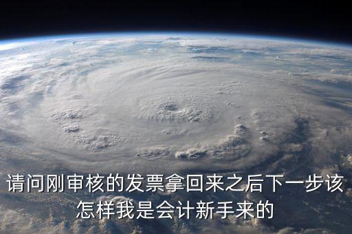 發(fā)票核定完之后接下來做什么，請(qǐng)問剛審核的發(fā)票拿回來之后下一步該怎樣我是會(huì)計(jì)新手來的