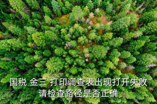 國稅 金三 打印調(diào)查表出現(xiàn)打開失敗請(qǐng)檢查路徑是否正確