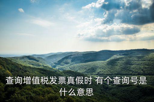 陜西省發(fā)票查詢(xún)號(hào)是什么意思，電子發(fā)票號(hào)碼是什么意思