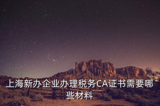2014年7月份上海稅務(wù)局還需要審什么證，上海新辦企業(yè)辦理稅務(wù)CA證書需要哪些材料