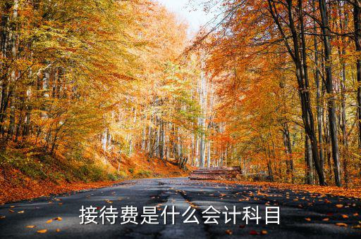 接待費計入什么科目，業(yè)務招待費屬于什么會計科目