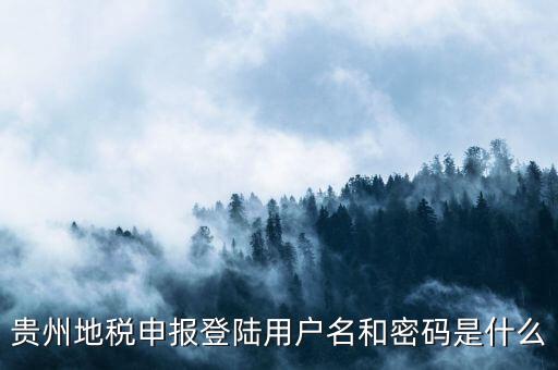 地稅登錄名密碼是什么意思，地稅申報(bào)的用戶名和密碼是什么