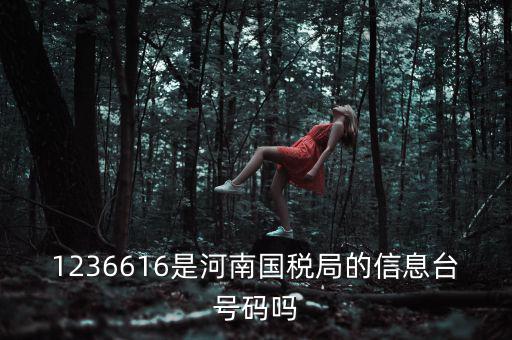 河南省國家稅務局賬號是什么，登錄國稅網(wǎng)上辦稅服務廳的用戶名和密碼是什么