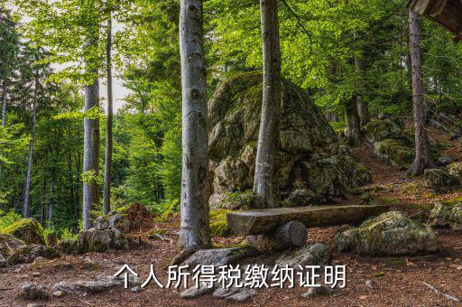 個人稅務證明是什么，什么是個人納稅證明