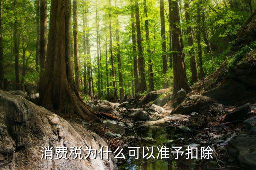 外購的汽油柴油消費(fèi)稅為什么可抵扣，cpa稅法中15年真題外購汽油90用于公司運(yùn)送旅客可以抵扣90