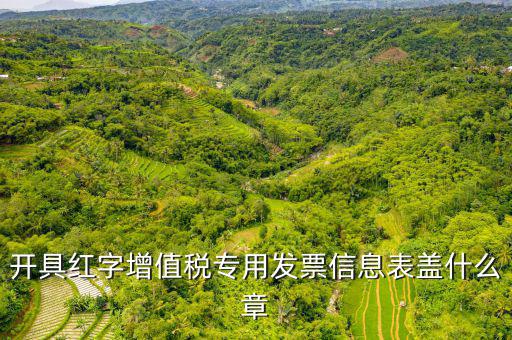 發(fā)票章什么樣子，開具紅字增值稅專用發(fā)票信息表蓋什么章