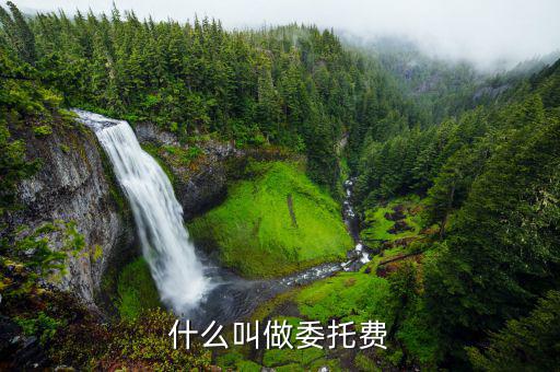 國(guó)家委托金額是什么，什么叫做委托費(fèi)