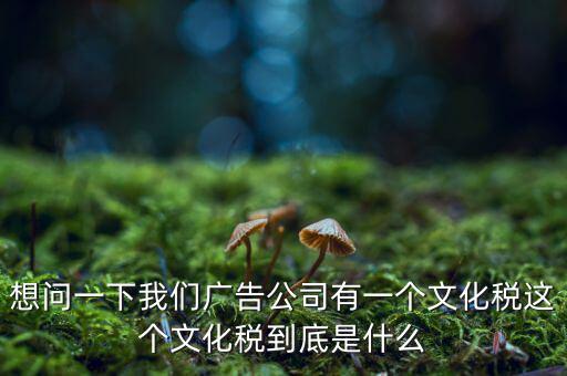 什么是稅務(wù)文化，和諧地稅文化的內(nèi)涵應包括哪些方面