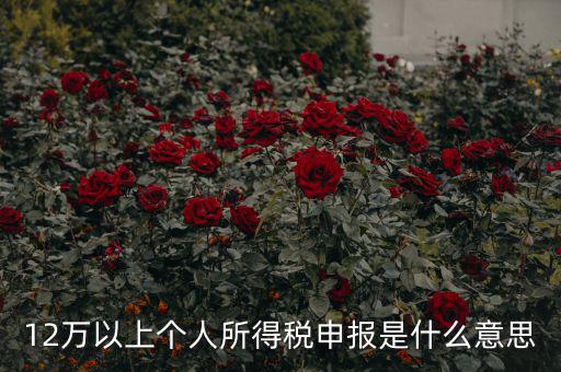 12萬(wàn)以上個(gè)人所得稅申報(bào)是什么意思