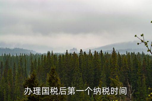 報(bào)稅后什么時(shí)候交稅，辦理國(guó)稅后第一個(gè)納稅時(shí)間