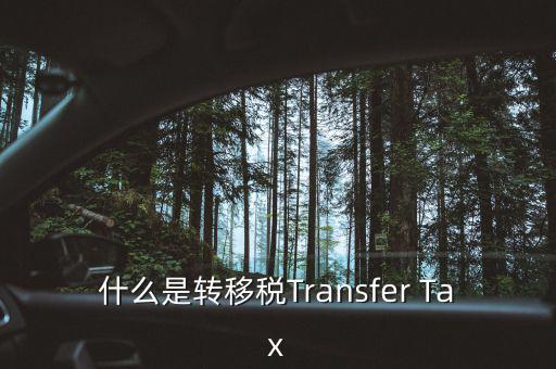 什么是跨地區(qū)稅收轉移企業(yè)，什么是轉移稅Transfer Tax