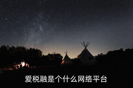 誠稅融是什么，稅融通有真的那么好嗎它的主要功能是什么