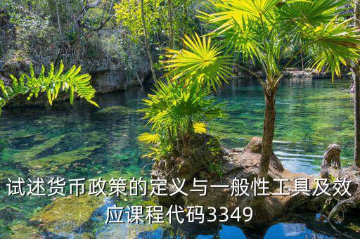 政策功能編碼是什么，試述貨幣政策的定義與一般性工具及效應(yīng)課程代碼3349