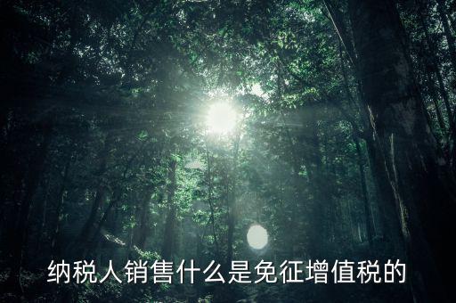 什么免征增值稅，哪些屬于免征增值稅