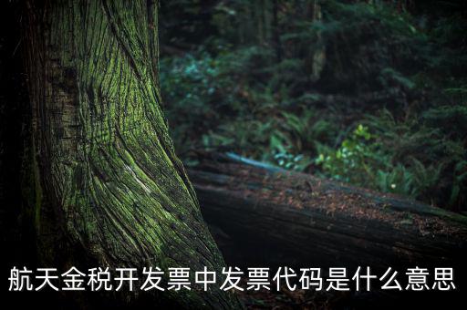 增值稅的航天編碼是什么，航天金稅 自動(dòng)開票 怎么獲取 發(fā)票代碼 發(fā)票號(hào)碼