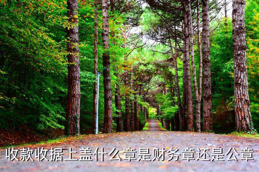 收據(jù)加蓋什么章，收據(jù)蓋什么章有規(guī)定嗎