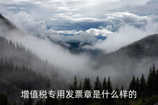發(fā)票專用章什么樣子，增值稅專用發(fā)票章是什么樣的