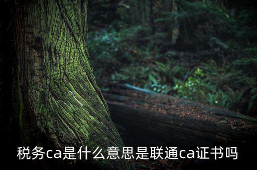 稅務(wù)ca是什么意思，去地稅簽三方協(xié)議需要以下東西第四個(gè)CA是什么意思啊