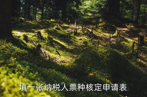 交票種核定表是什么，納稅人領(lǐng)購(gòu)發(fā)票票種核定申請(qǐng)表如何填寫