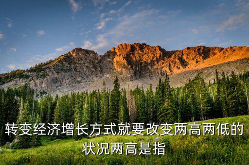 什么是兩提高兩降低，轉變經(jīng)濟增長方式就要改變兩高兩低的狀況兩高是指