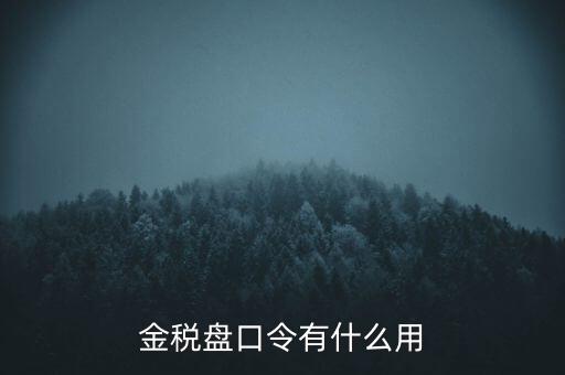 報(bào)稅數(shù)字證書口令是什么，陜西天暢偉業(yè)的網(wǎng)上報(bào)稅系統(tǒng)的登錄口令是什么