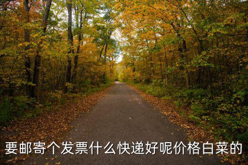 深圳國(guó)稅發(fā)票是寄什么快遞，寄發(fā)票用什么快遞