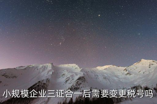 什么情況需要變更稅號(hào)，小規(guī)模企業(yè)三證合一后需要變更稅號(hào)嗎