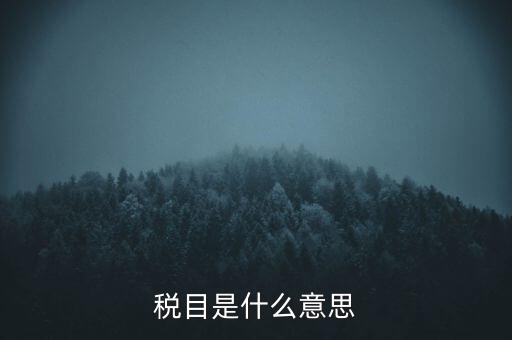 增值稅稅目是什么，增值稅是什么稅是什么