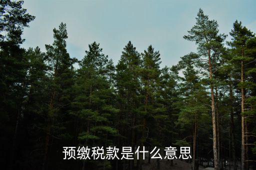 已預(yù)繳稅費(fèi)指什么，預(yù)繳稅款是什么意思
