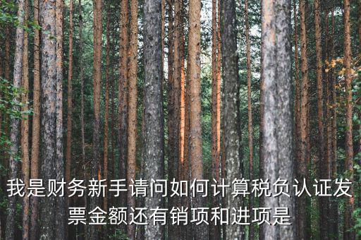 認證業(yè)務是什么稅種，一般納稅人認證企業(yè)每個月最低要繳多少稅有哪些稅新注冊公司是