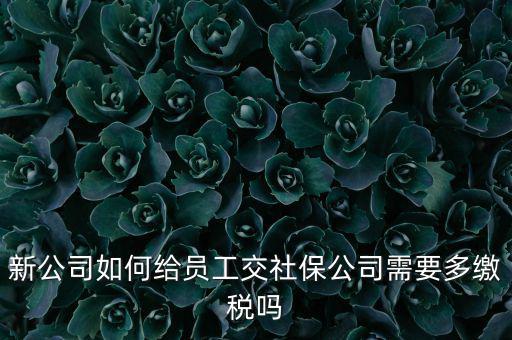 公司交社保要交什么稅，企業(yè)為員工交養(yǎng)老保險(xiǎn)要不要交稅的