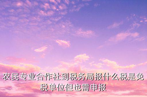 農(nóng)村合作社交什么稅，農(nóng)民合作社每個月要申報什么稅