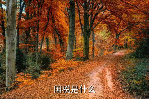 國稅無紙化辦稅是什么意思，開通國稅是什么意思